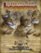 Libro de Linaje: Boggans (pdf)
