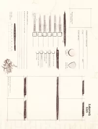 Hoja de personaje jugador LL